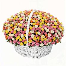 Премиум букет из: Розы #REPLACE_PRED# Цибанобалка