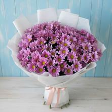 Букет цветов из:  Хризантемы в Цибанобалка