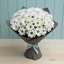 Букет цветов из:  Хризантемы #REPLACE_PRED# Цибанобалка